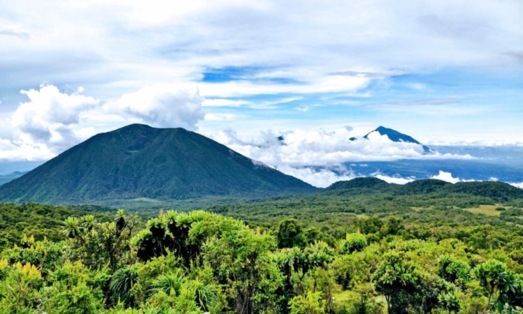 5-Day Uganda Gorillas & Karisimbi Hike