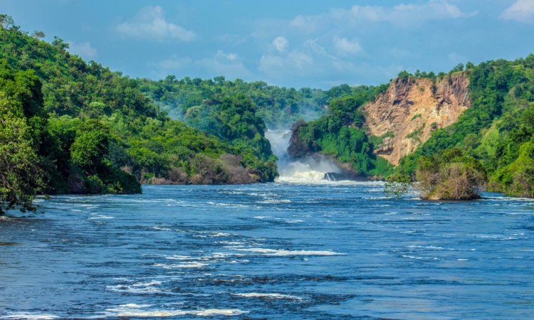 6-Day Bwindi & Murchison Falls