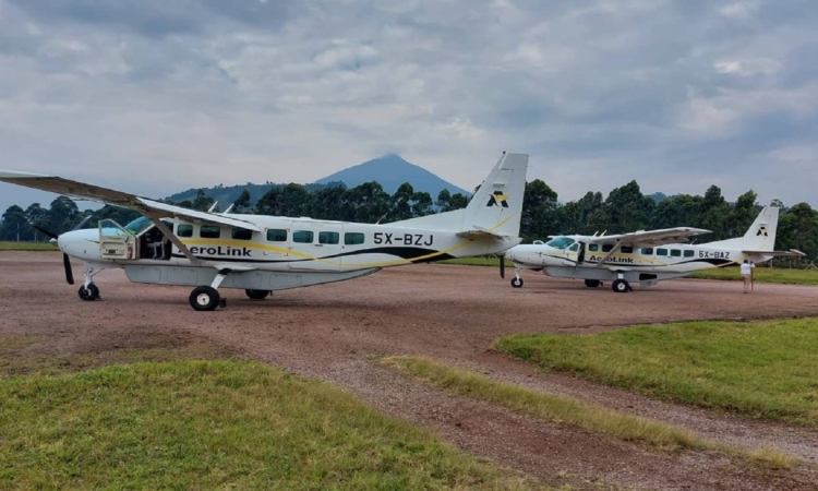 3-Day Flying Gorilla Tour in Uganda - Quick & Luxurious