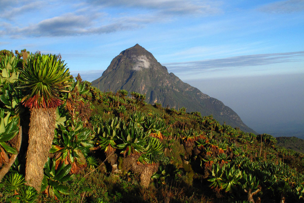 The Virunga Mountains
